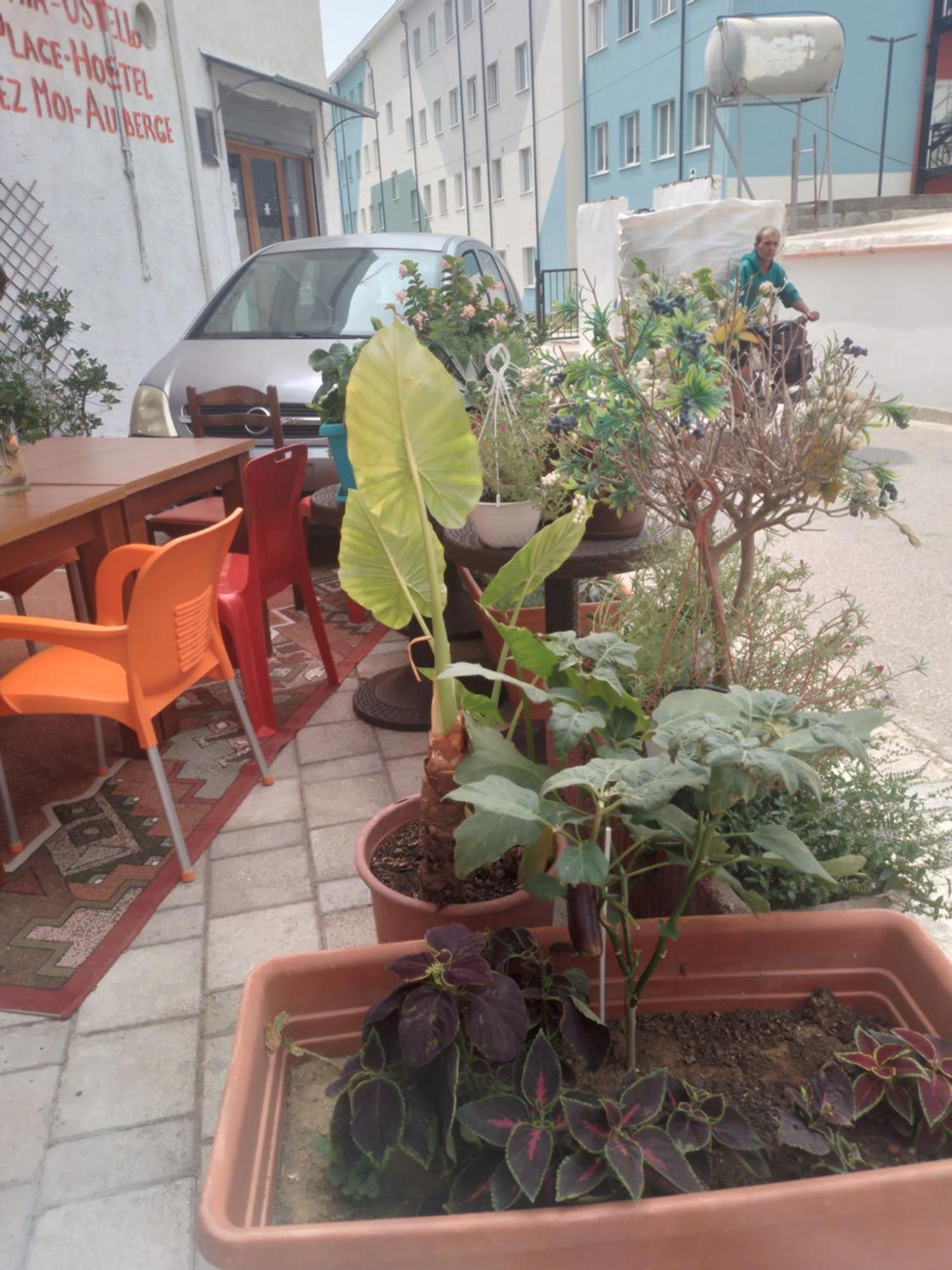 Vlorë Casa Miaホステル エクステリア 写真